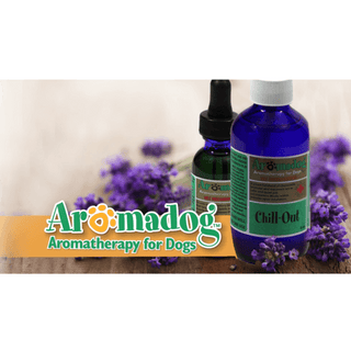 Aromatherapy For Dogs