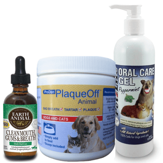 Dog Dental Supplements