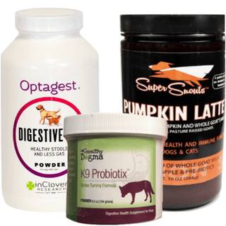 Dog Digestive System Remedies - Featuring Probiotics and Enzymes!