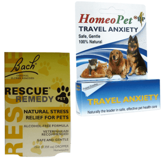 Homeopathic Remedies For Dogs