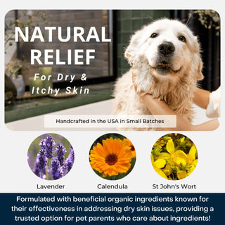 4-Legger CALM Organic Lavender Dog Shampoo with Calendula and St. John's Wort, 16-oz Bottle