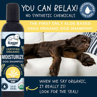 4-Legger MOISTURIZE Organic Hemp Dog Shampoo with Lemongrass, 8-oz Bottle