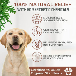 4-Legger Natural Cedar Dog Shampoo & Conditioner with Peppermint & Eucalyptus, 16-oz