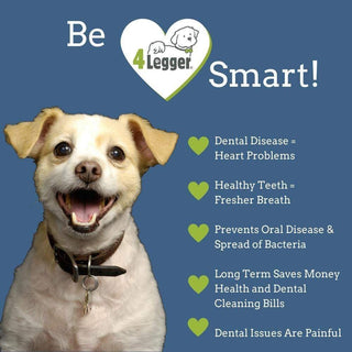 4-Legger Natural Dental Powder for Dogs