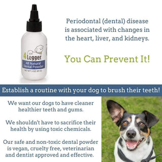 4-Legger Natural Dental Powder for Dogs