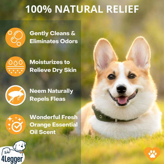 4-Legger REVITALIZE Organic Neem Dog Shampoo with Sweet Orange Essential Oil, 16-oz Bottle