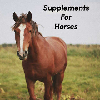 Click Here to Shop Horse Supplements