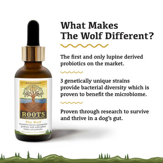 Adored Beast Apothecary Roots The Wolf Species Appropriate Probiotic for Dogs, 2-oz Bottle