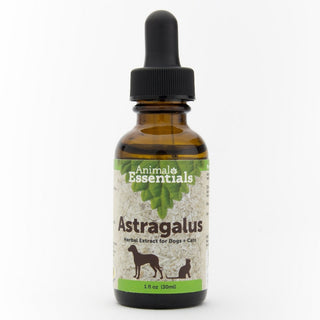 Animal Essentials Astragalus Dog & Cat Supplement, 1-oz Bottle