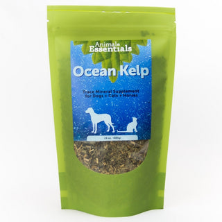 Animal Essentials Organic Ocean Kelp Supplement for Dogs, Cats & Horses