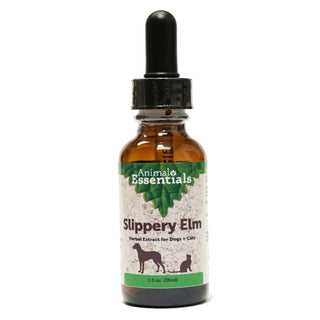 Animal Essentials Slippery Elm Herbal Extract for Dogs & Cats, 1-oz