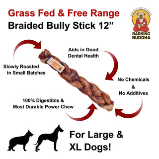 Barking Buddha Braided Bully Stick Dog Chew, 12-Inch