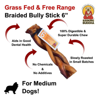 Barking Buddha Braided Bully Stick Dog Chew, 6-Inch