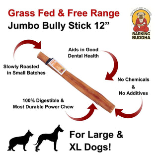 Barking Buddha Jumbo Bully Stick Dog Chew, 12-Inch