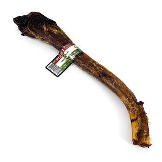 BarkNBig USA Odor Free Bullarge Super Thick Beef Bully Stick Dog Treat, 11-13-Inch