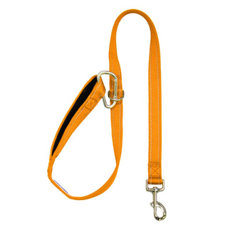 Baydog Hudson Bay Dog Leash, 6-ft, Blaze Orange