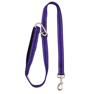 Baydog Hudson Bay Dog Leash, 6-ft, Purple Rain