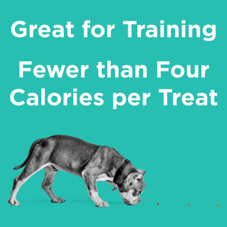 BIXBI Pocket Trainers Salmon Recipe Training Treats for Dogs, 6-oz Bag