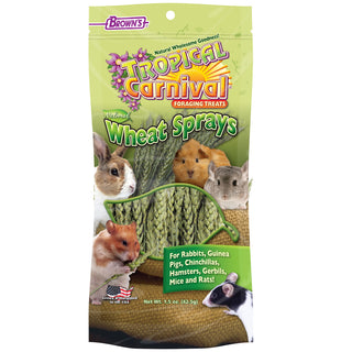 Brown's Tropical Carnival Natural Wheat Sprays Foraging Treats for Small Animals, 1.5-oz Bag