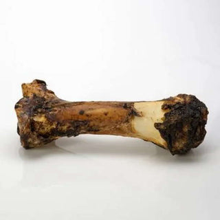 Butcher's Prime Bam Bam Beef Full Front Shank Bone Dog Chew, For Medium to Large Dogs