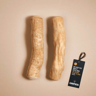 CANOPHERA Coffee Wood Chew Stick for Dogs, Large, 2-Pack