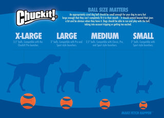 Chuckit! Ultra Rubber Ball Tough Dog Toy, Large