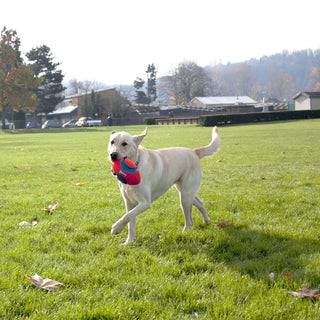 Chuckit! Fumble Fetch Dog Toy, Small