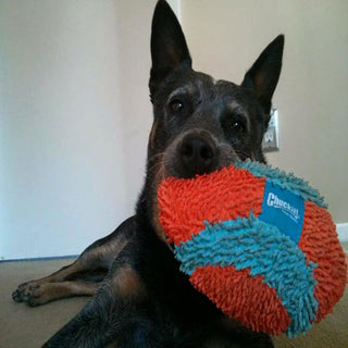 Chuckit! Indoor Fumbler Dog Toy