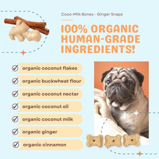 Cocotherapy Coco-Milk Bones Ginger Snaps Organic Dog Treats, 6-oz