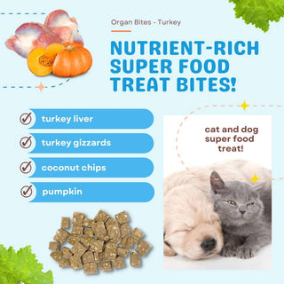 Cocotherapy Organ Bites! Turkey Organs with Pumpkin & Coconut Freeze-Dried Dog Treats, 3-oz