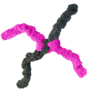 Cycle Dog Duraplush Springy Thing Eco-Friendly USA Dog Toy, Fuchsia, Large