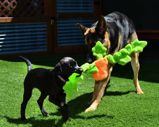 Cycle Dog Duraplush FuzzBall Eco-Friendly USA Dog Toy, Blue/Green, Large