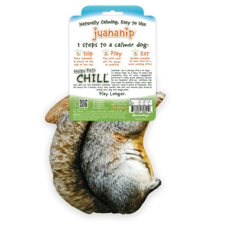 Doggijuana Get Outside Refillable Squirrel Dog Toy