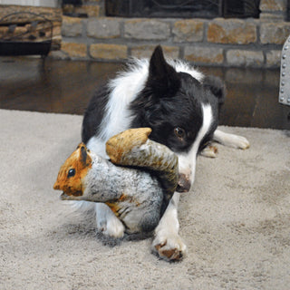 Doggijuana Get Outside Refillable Squirrel Dog Toy