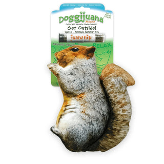 Doggijuana Get Outside Refillable Squirrel Dog Toy