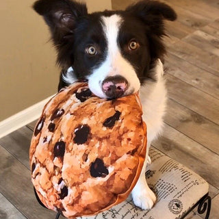 Doggijuana Get The Munchies Refillable Cookie Dog Toy