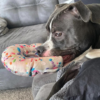 Doggijuana Get the Munchies Refillable Donut Dog Toy