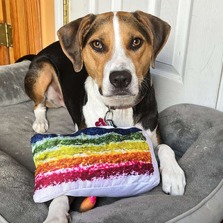 Doggijuana Get to the Pawty Refillable Cake Dog Toy