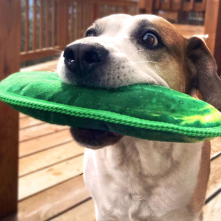 Doggijuana Tuffer Chewer Refillable Dill Pickle Dog Toy