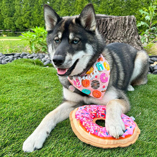 Doggijuana Tuffer Chewer Refillable Donut Dog Toy