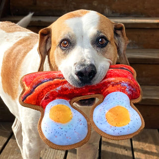 Doggijuana Tuffer Chewer Refillable Eggs & Bacon Dog Toy