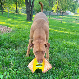 Doggijuana Tuffer Chewer Refillable Grilled Cheese Dog Toy