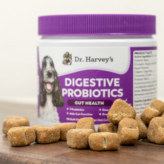 Dr. Harvey's Digestive Probiotics Gut Health Soft Chews Dog Supplement, 90-ct