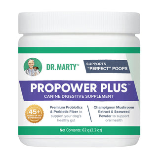 Dr. Marty ProPower Plus Digestive Supplement for Dogs, 62-Grams Powder