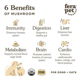 Fera Pets USDA Organic Mushroom Blend Immune Support for Dogs and Cats