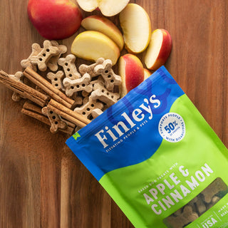 Finley's Apple & Cinnamon Crunchy Biscuits Dog Treats, 16-oz Bag