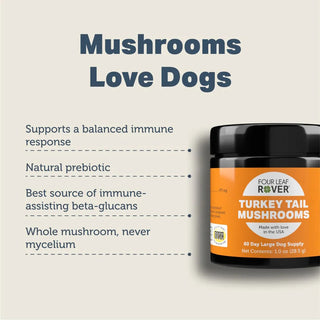 Four Leaf Rover Turkey Tail Mushrooms for Dogs