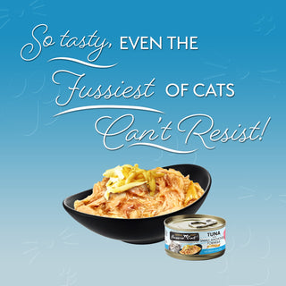 Fussie Cat Tuna with Small Anchovies Formula in Gravy Wet Cat Food, 2.82-oz, Case of 24