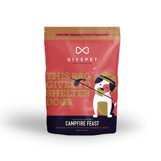 GivePet Campfire Feast Salmon Recipe Dog Treats, 12-oz Bag