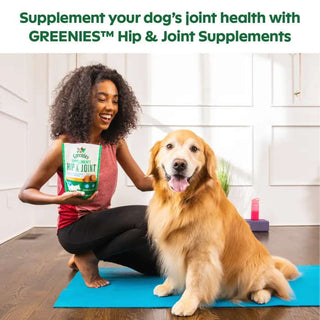 GREENIES Hip & Joint Dog Supplements with Chicken Flavor Soft Chews, 30 Count Bag